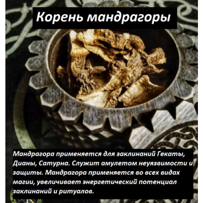 НА ЗАКАЗ: Корень Мандрагоры 15 грамм